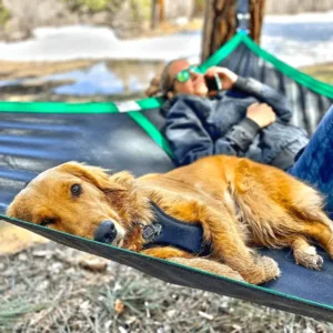 Ultimate 2-Person Camping Hammock - Durable & Easy to Set Up